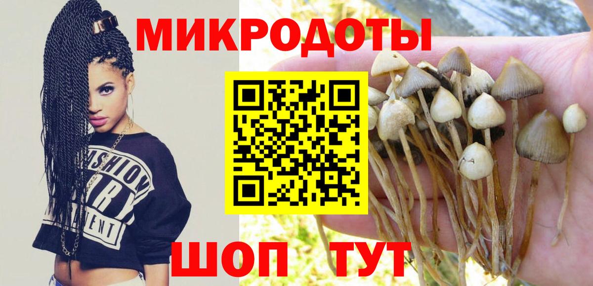 Арсеньев  Псилоцибиновые грибы MAGIC MUSHROOMS  Псилоцибиновые грибы Psilocybe  Вход с VPN 